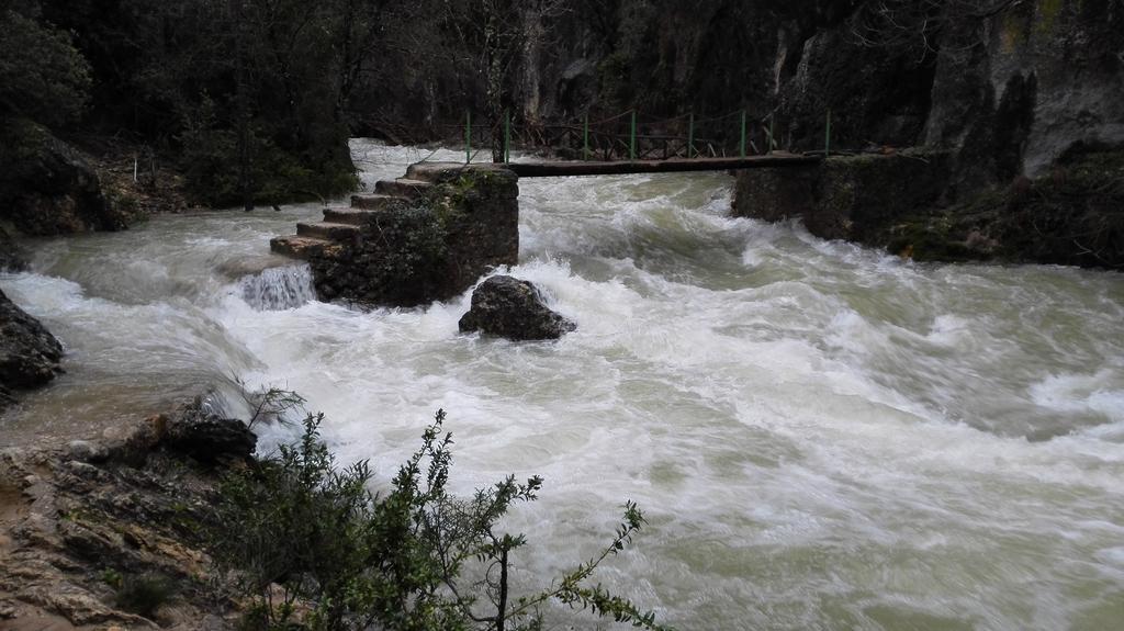 Alojamientos Bellavista Coto Rios Kültér fotó